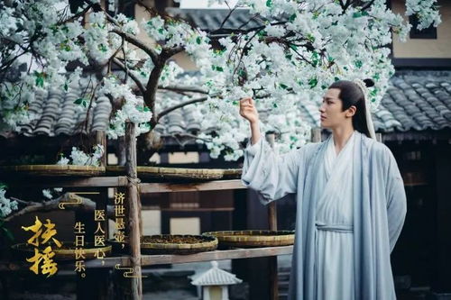 陆少追婚之夫人哪里跑（第65集）