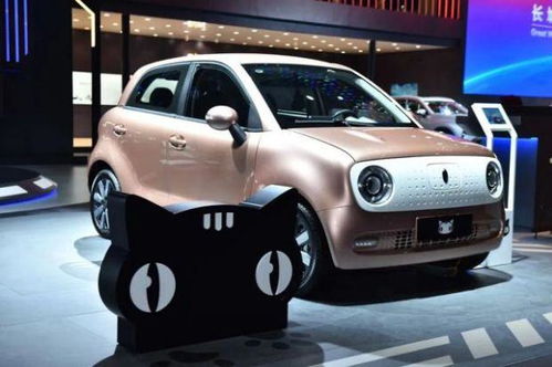 顶住失控车辆的白车侠获赠新车——勇气与奉献的奖赏