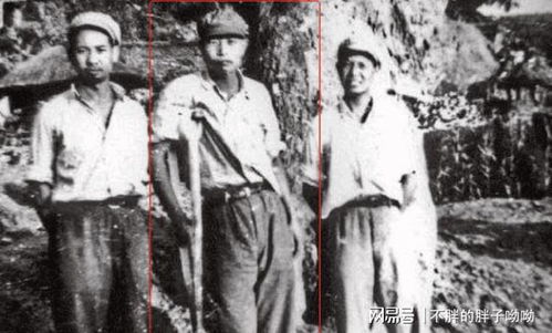 龙隐于田，老农父亲是大佬（79集）