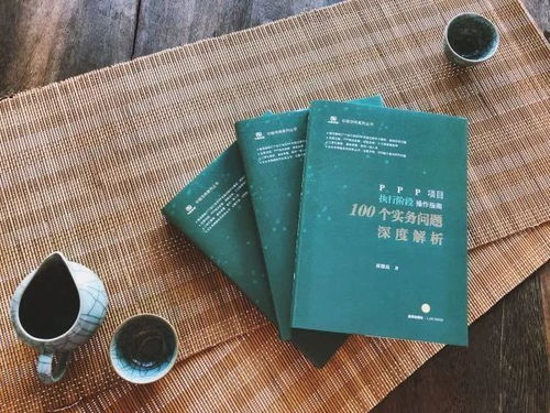 霸总的攻略手册，深度解析与体验分享（92集）
