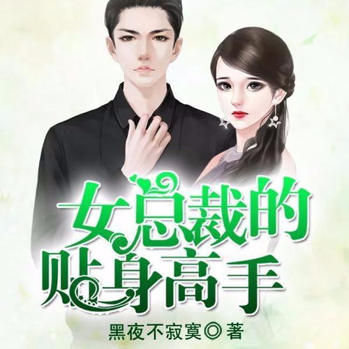 女总裁的统帅老公