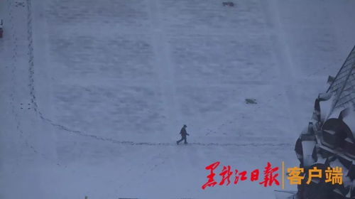 雪落识潇尘（80集）剧情解析与赏析
