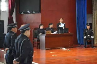 余华英拐卖儿童案将择期宣判，法律公正与社会正义的交汇点