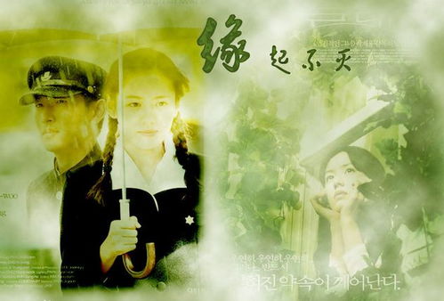 如果爱有天意——刘昱辰的故事（共80集）