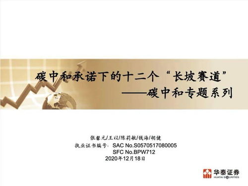 九个我，深度解析与感悟（71集）