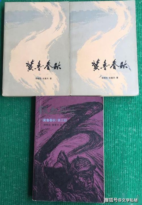 长篇故事的魅力与深度，探索无限可能的文学之旅