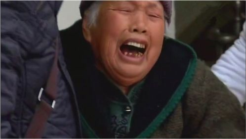 我的白眼狼女儿（80集）