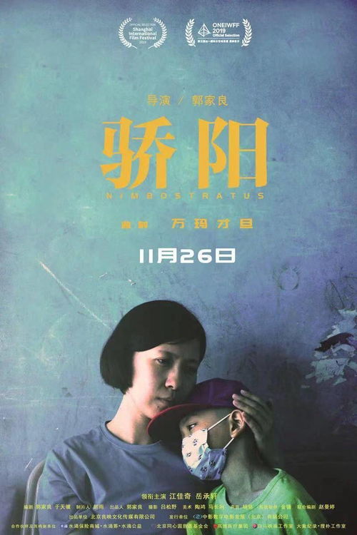 消失的新娘，迷雾中的真相探寻