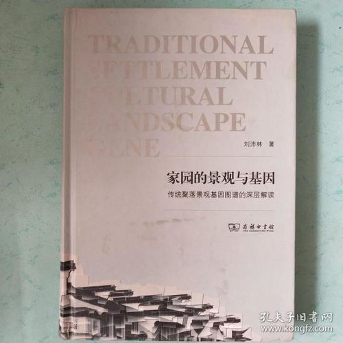 大观相师，传统智慧的深度解读