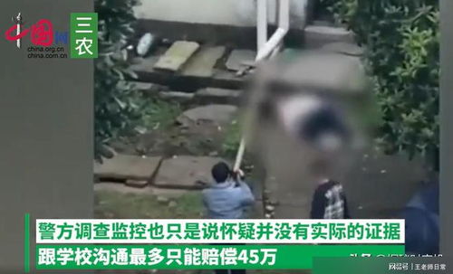 开封女子放火后跳楼身亡事件深度解析，知情者的发声