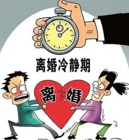 离婚冷静期内男子持榔头暴力拆家，反思与警示