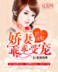 闪婚娇妻秦总乖乖宠上天（84集连续剧深度解析）