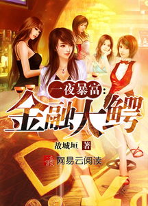 一夜暴富，新篇章的启示（62集连续剧剧情概述）