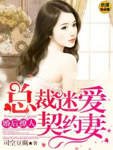 爱上冰山女总裁（96集）
