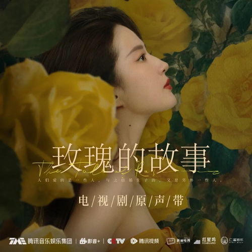 玫瑰的故事之闪耀的她（胡冬晴篇）（一）