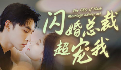 闪婚总裁超宠我