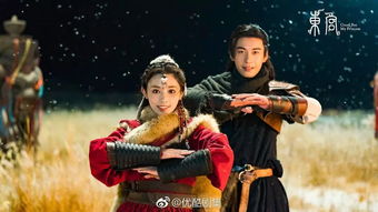 东宫弃妃，深宫之中的爱恨交织与命运博弈（71集深度解析）