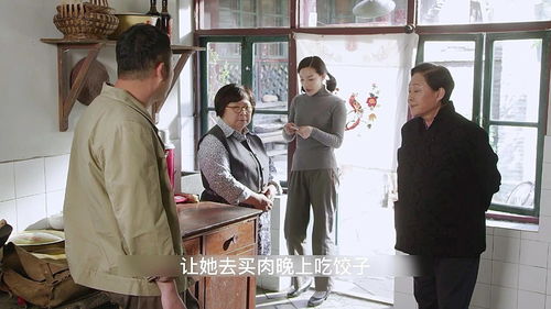 特种上门女婿（100集）