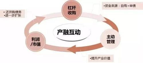 谎言的背后（91集），深度探究与启示