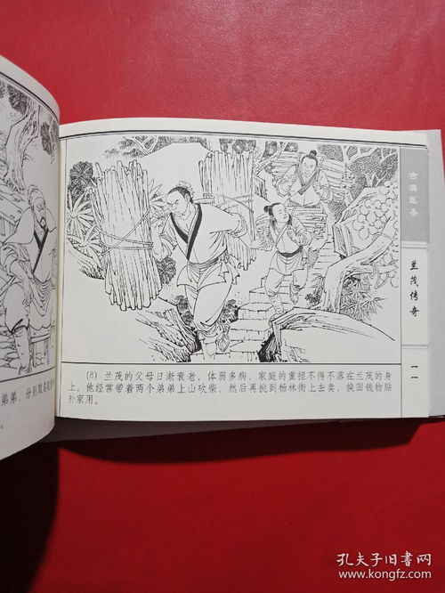 回到古代当医圣，探寻古代医学的奥秘与传奇