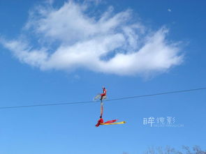 飞上蓝天，空中奇遇（一）