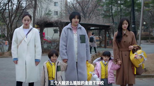 妈妈，再见（28集）
