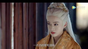 宸王的罪妃