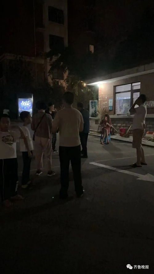 陕西榆林兄弟两人在凌晨遭九人围殴事件深度解析