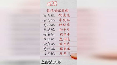 你是我的天赐良缘（52集）