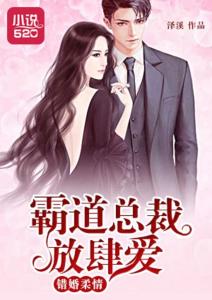 霸道总裁的神医老婆，专情之爱