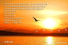 爸临天下，一部深度解读父爱的80集感人巨作
