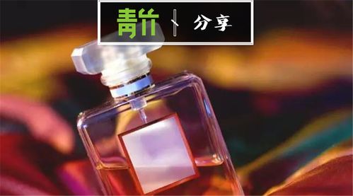 极乐香水，一场奇幻与情感的交织（92集深度解析）