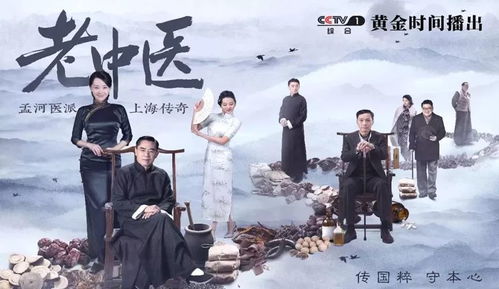 极品医婿出山，神医下山传奇