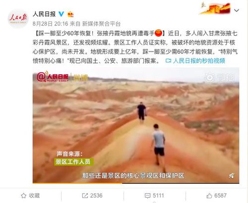 我是苏晓薇与程琳淼，一段独特的人生旅程（共82集）