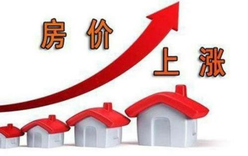 专家警告，投资需谨慎，勿盲目跟风炒作