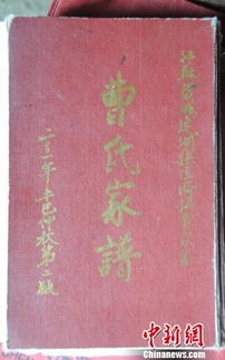 清明祭祖，族谱中的一页荣耀与传承（共66集）