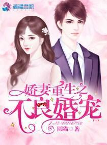 重生小娇妻，陆少心尖宠的百集甜蜜恋曲