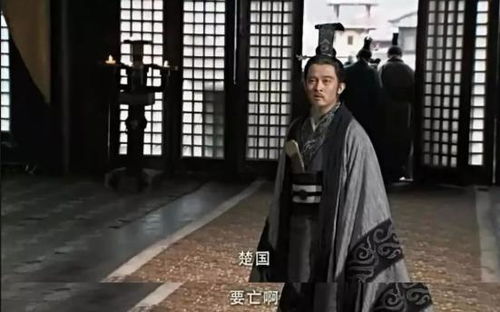 潜龙在渊，揭开4436新的神秘面纱（80集深度解析）