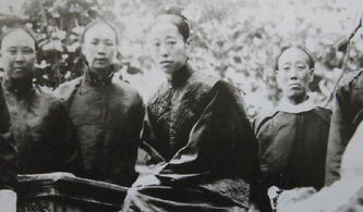 皇太子监国，权力与责任的交织（100集深度解析）