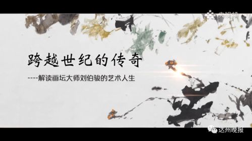 飞鸟归山，邵迪的百集传奇