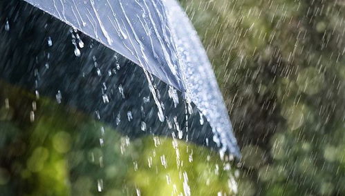 暴雨大暴雪近期将罕见同框——极端天气的挑战与应对