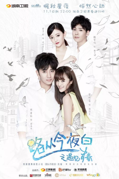 路从今夜白99，人生的转折点与未来的曙光