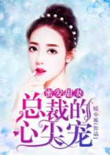 替嫁甜婚，霍总的心尖宠（80集）——深度解析与观感分享