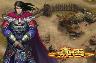 真武王（91集）与赵慧楠，热血传奇的交织