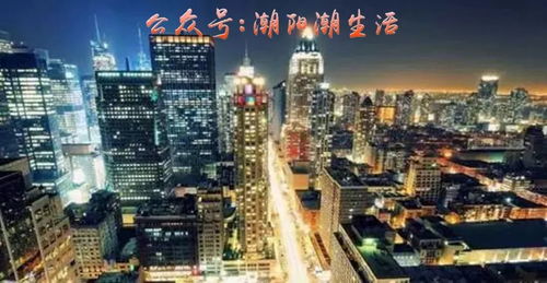 龙游花都，繁华都市中的奇幻之旅（96集剧情深度解析）