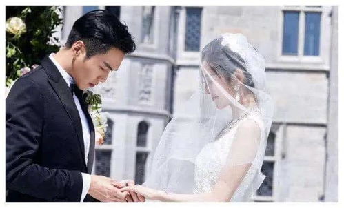 危婚，婚姻背后的复杂纠葛与人性探索（80集深度解析）