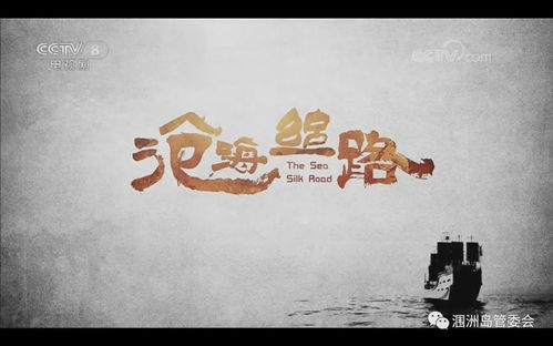 穿越千年追寻你（电视剧）