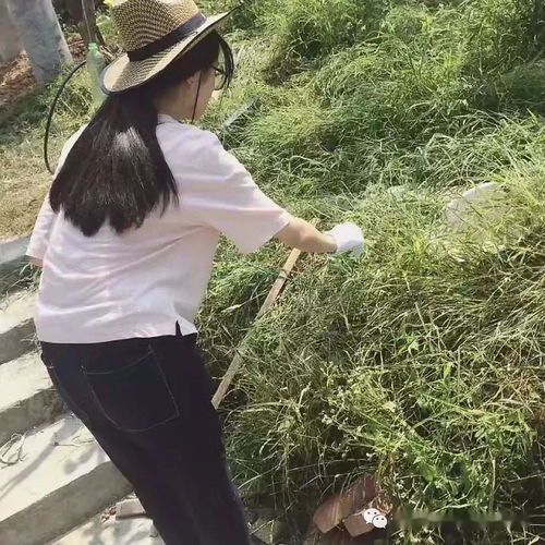 我不是酒神，杨吉的成长与挑战