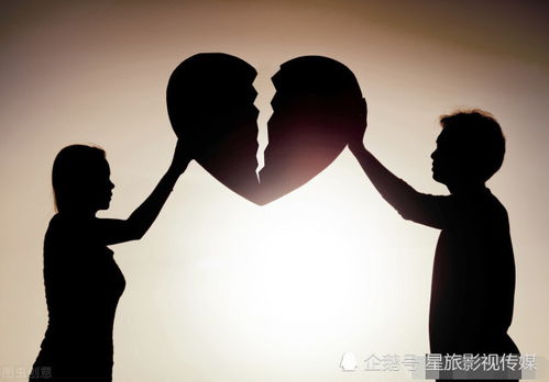 离婚后，言少他后悔了