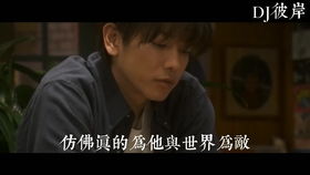 永不消逝的爱，开局之我被父亲扔垃圾桶——杨帆的故事（62集）